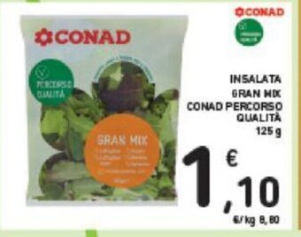 Conad INSALATA GRAN MIX CONAD PERCORSO QUALITÀ 125 g offerta