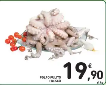Conad POLPO PULITO FRESCO offerta