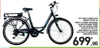 CITY BIKE A PEDA LATA ASSISTITA 26" 6V