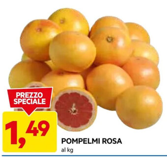 DPiù POMPELMI ROSA al kg offerta