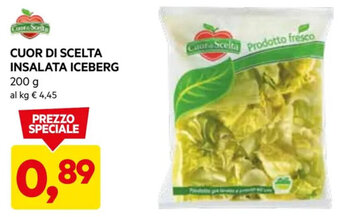 DPiù CUOR DI SCELTA INSALATA ICEBERG 200 g offerta