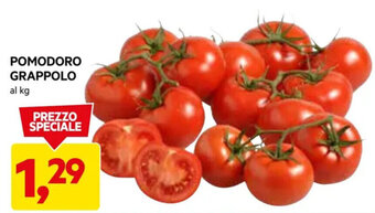 DPiù POMODORO GRAPPOLO al kg offerta