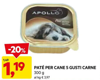 DPiù PATÉ PER CANE 5 GUSTI CARNE 300 g offerta