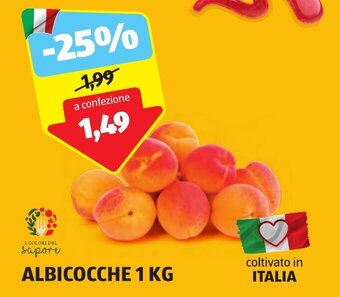 ALDI ALBICOCCHE 1 KG offerta
