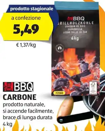 ALDI BBQ CARBONE prodotto naturale, 4 kg offerta