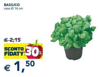 Esselunga BASILICO vaso Ø 14 cm offerta
