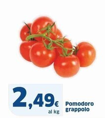 Sigma Pomodoro grappolo offerta