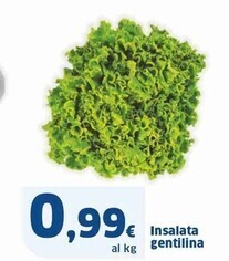 Sigma Insalata gentilina offerta