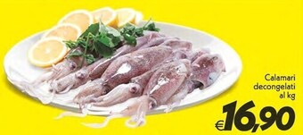 Iper Super Conveniente Calamari decongelati offerta