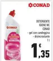 Canotto kondor