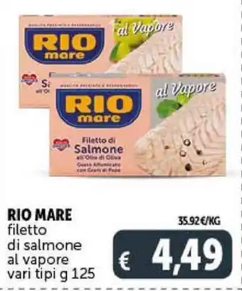 Deco Supermercati RIO MARE filetto di salmone al vapore vari tipi g 125 offerta