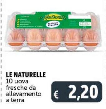 Deco Supermercati LE NATURELLE 10 uova fresche da allevamento a terra offerta