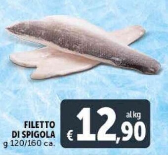 Deco Supermercati FILETTO DI SPIGOLA g 120/160 ca. offerta