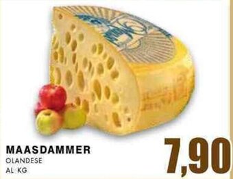 MAASDAMMER OLANDESE