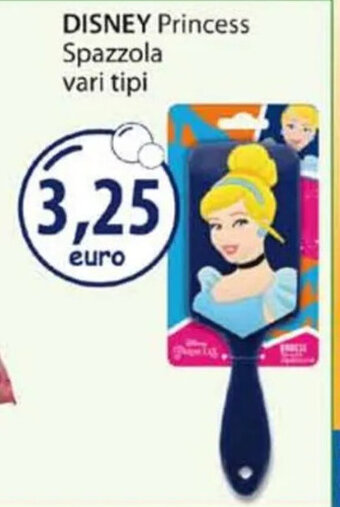 Acqua & Sapone DISNEY Princess Spazzola vari tipi offerta