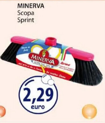 Acqua & Sapone MINERVA Scopa Sprint offerta