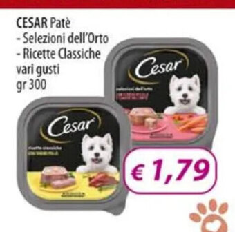 Acqua & Sapone CESAR Patè - Selezioni dell'Orto - Ricette Classiche vari gusti gr 300 offerta