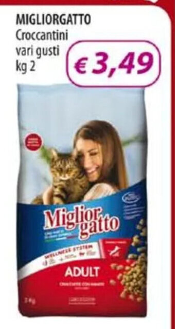 Acqua & Sapone MIGLIORGATTO Croccantini vari gusti kg 2 offerta