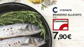 Coop Branzino Allevato offerta
