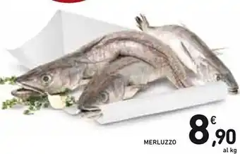 Spazio Conad Merluzzo offerta