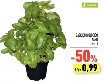 Conad BASILICO BIOLOGICO VASO cat. I offerta