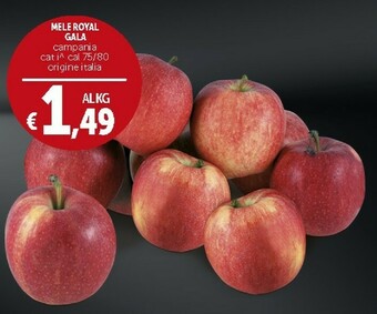 Deco Supermercati Royal Mele Gala offerta