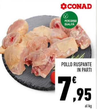 Conad POLLO RUSPANTE IN PARTI offerta