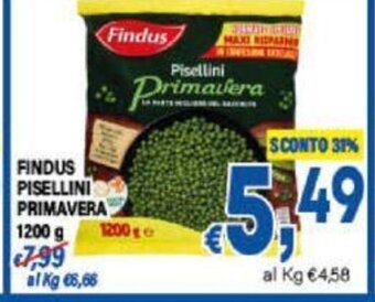 DEM FINDUS PISELLINI PRIMAVERA 1200 g offerta