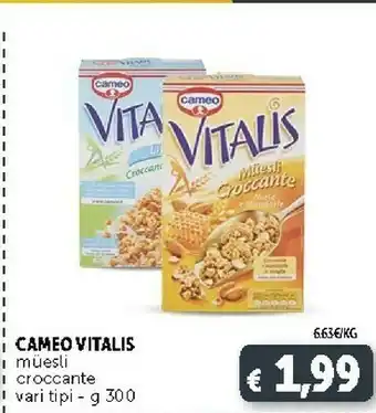 Deco Supermercati Cameo Cameo - Vitalis Muesli Croccante Frutta Secca 300 g(ml) offerta