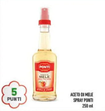 Conad ACETO DI MELE SPRAY PONTI 250 ml offerta