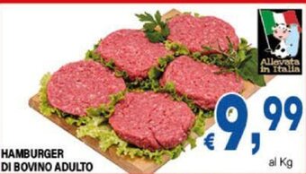DEM HAMBURGER DI BOVINO ADULTO offerta