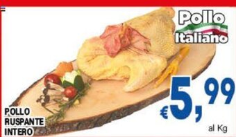 DEM POLLO RUSPANTE INTERO offerta
