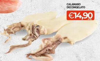 Mercatò Extra CALAMARO DECONGELATO offerta