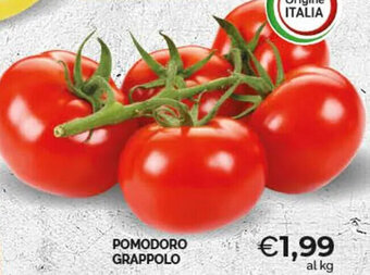 POMODORO GRAPPOLO