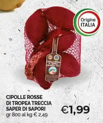 CIPOLLE ROSSE DI TROPEA TRECCIA SAPER DI SAPORI gr 800