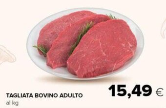 Oasi TAGLIATA BOVINO ADULTO offerta