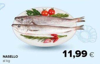 Oasi NASELLO offerta