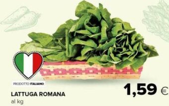 Oasi LATTUGA ROMANA offerta