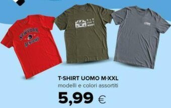 T-SHIRT UOMO M-XXL modelli e colori assortiti