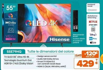 Expert Hisense TV QLED 55" 55E79HQ offerta