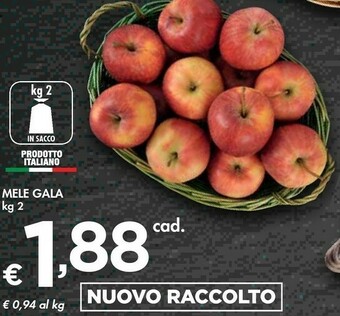 Bennet Mele Gala offerta