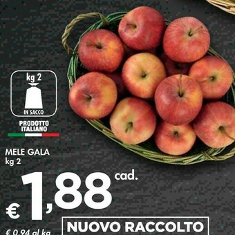 Bennet Mele Gala offerta