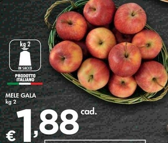 Bennet Mele Gala offerta