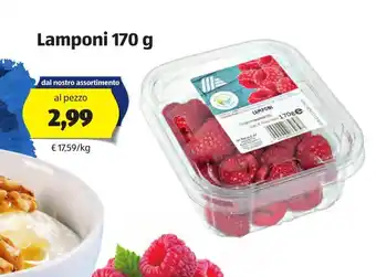 ALDI Lamponi 170g offerta