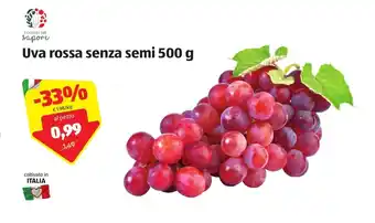 ALDI I Colori del Sapore Uva rossa senza semi 500g offerta