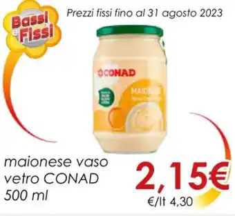 Conad maionese vaso vetro CONAD 500 ML offerta