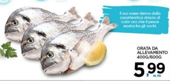 Interspar ORATA DA ALLEVAMENTO 400G/600G offerta