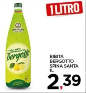 BIBITA BERGOTTO SPINA SANTA 1L