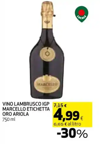Coop VINO LAMBRUSCO IGP MARCELLO ETICHETTA ORO ARIOLA 750 ml offerta
