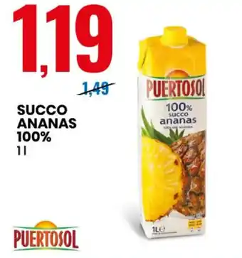 Eurospin SUCCO ANANAS 100% 1l offerta